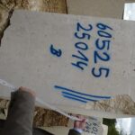 Ausflug_Steinbruch05_24980_5852897a1e