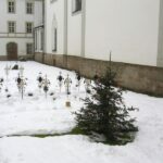 Tagesablauf_Moenchsalltag18_21667_56d0cd1271