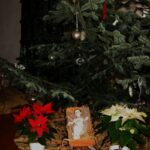 Tagesablauf_Moenchsalltag19_21668_56d0cd1283