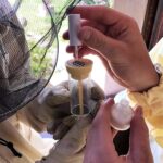 Betupfen_25907_599d47e878